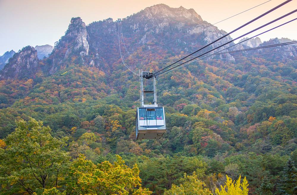 A cable car ascending a mountain of autumn foliage in Korea