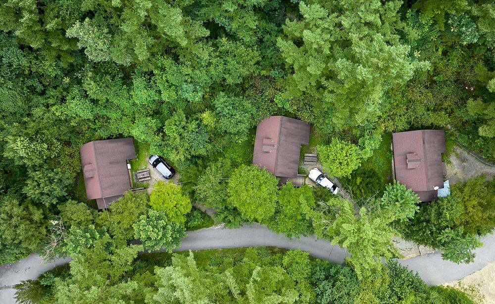 Wooden cabins tucked into a green forest at a Korean recreation forest