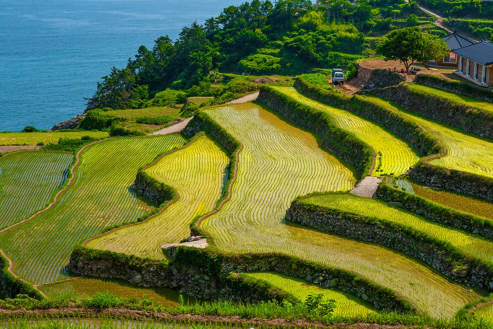 The Gacheon Darangyi rice terraces stepping down to the sea in Namhae