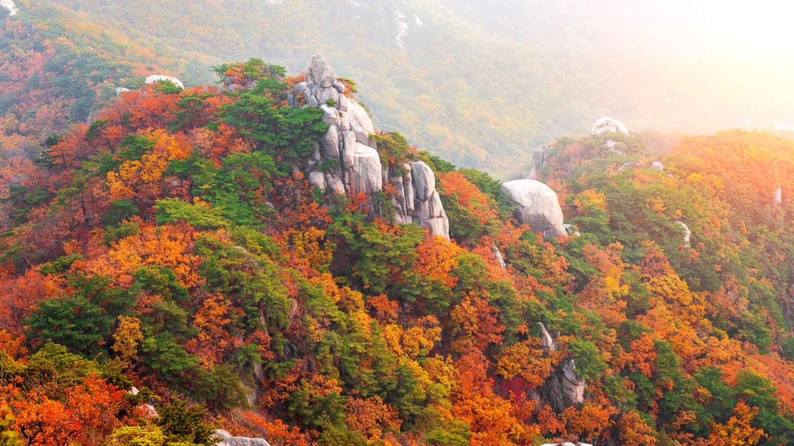 A rocky Seoraksan peak surrounded by brilliant red and orange autumn foliage in morning light