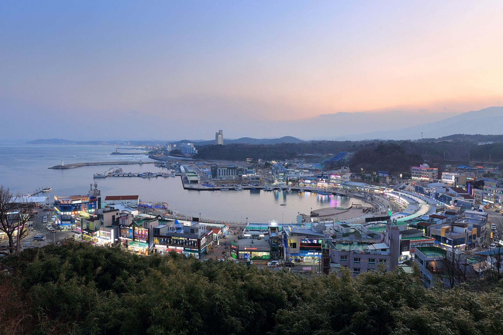 Sokcho's harbor and town curving around a bay at dusk, seen from a hillside