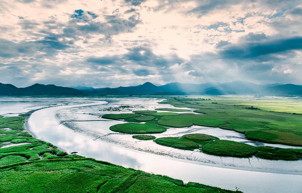 The green S-curve of Suncheon Bay under sunbeams in summer